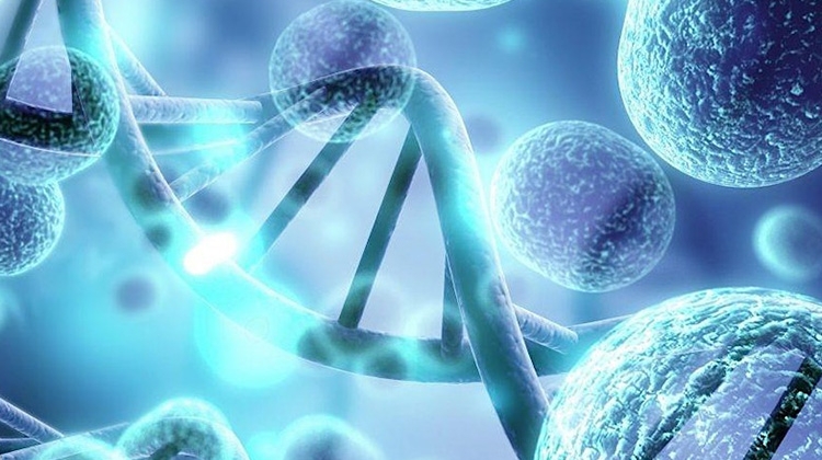 Cell and gene image
